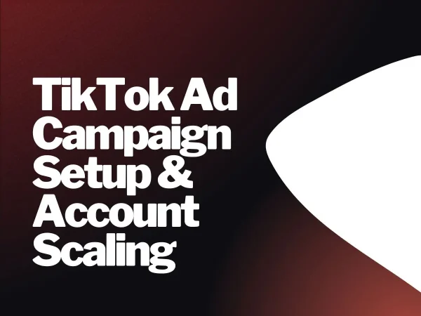 TikTok Ad Campaign Setup & Account Scaling