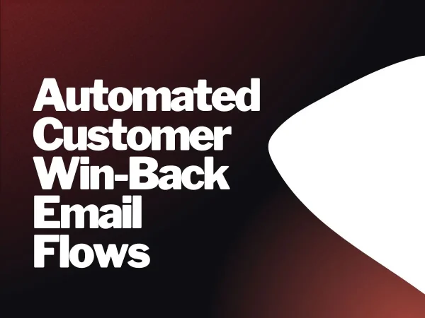 Automated Customer Win-Back Email Flows