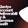 tw-pc-3469 Klaviyo Account Deliverability & Revenue Audit